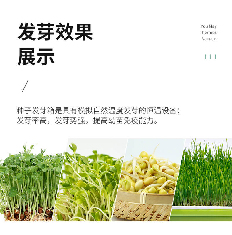 光照培養(yǎng)箱