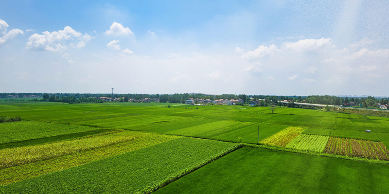 土壤養(yǎng)分檢測儀在農(nóng)業(yè)施肥中的應(yīng)用
