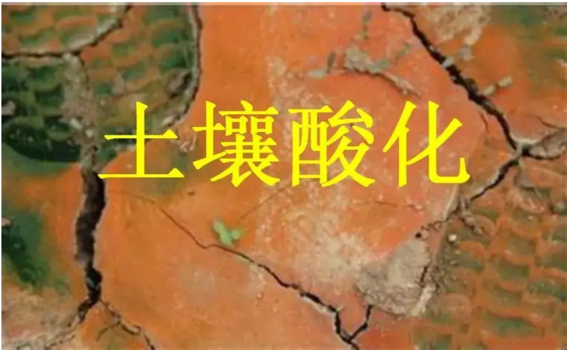 識別土壤“病”，土壤測試儀器是如何提高土壤免疫力的？